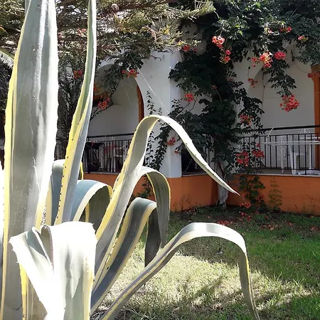 Dimitris Apartment Punta