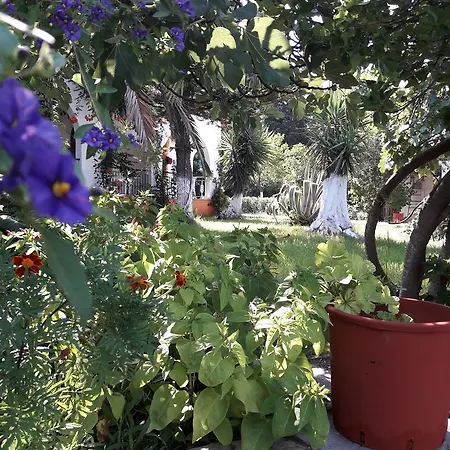 Dimitris Apartment Punta