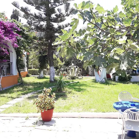 Dimitris * Punta